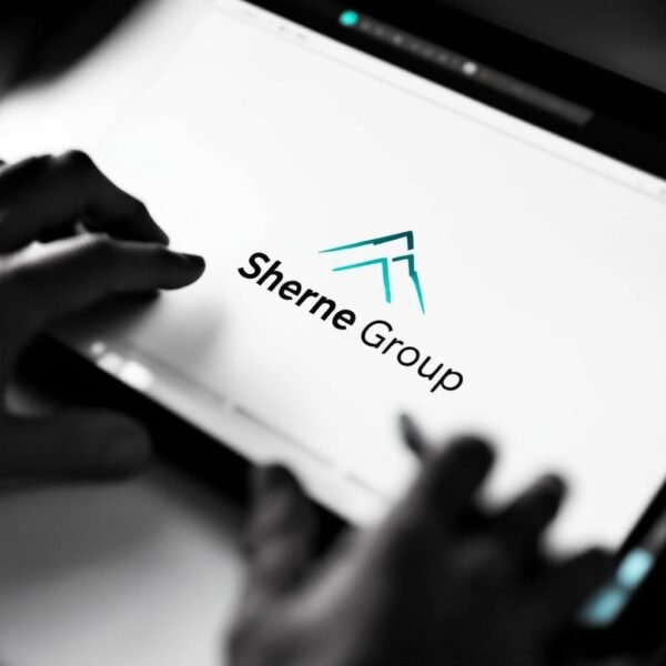 Premium Logo Design (3 Concepts)